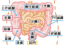 低血糖図